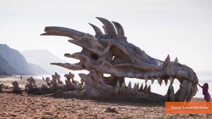Dragon Skull Left on Beach to Promote 'Game of Thrones'