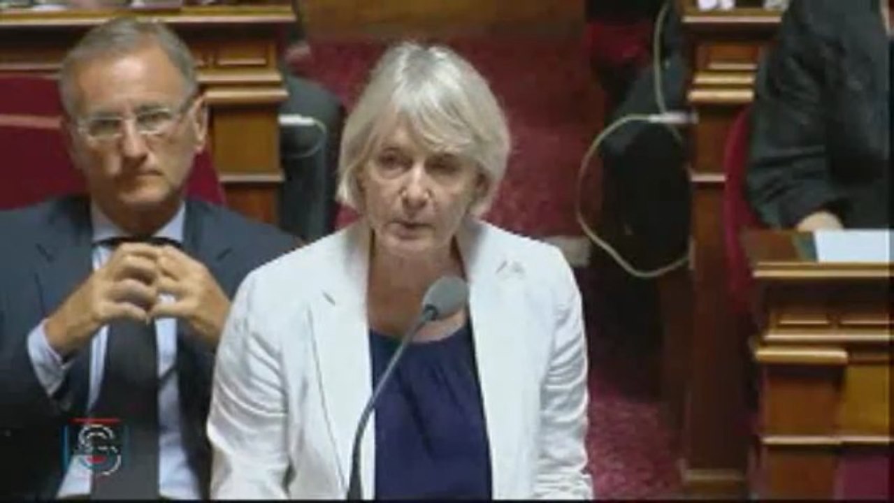 QAG de Claudine Lepage du 18 juillet 2013