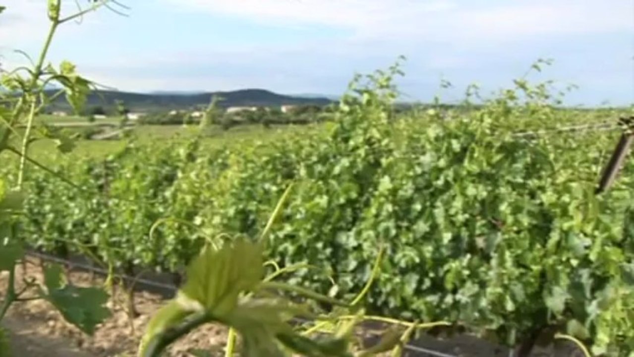 Mas Nouguier : l'entretien de l'Agriparc est confié à l'Esat "Les compagnons de Maguelone"