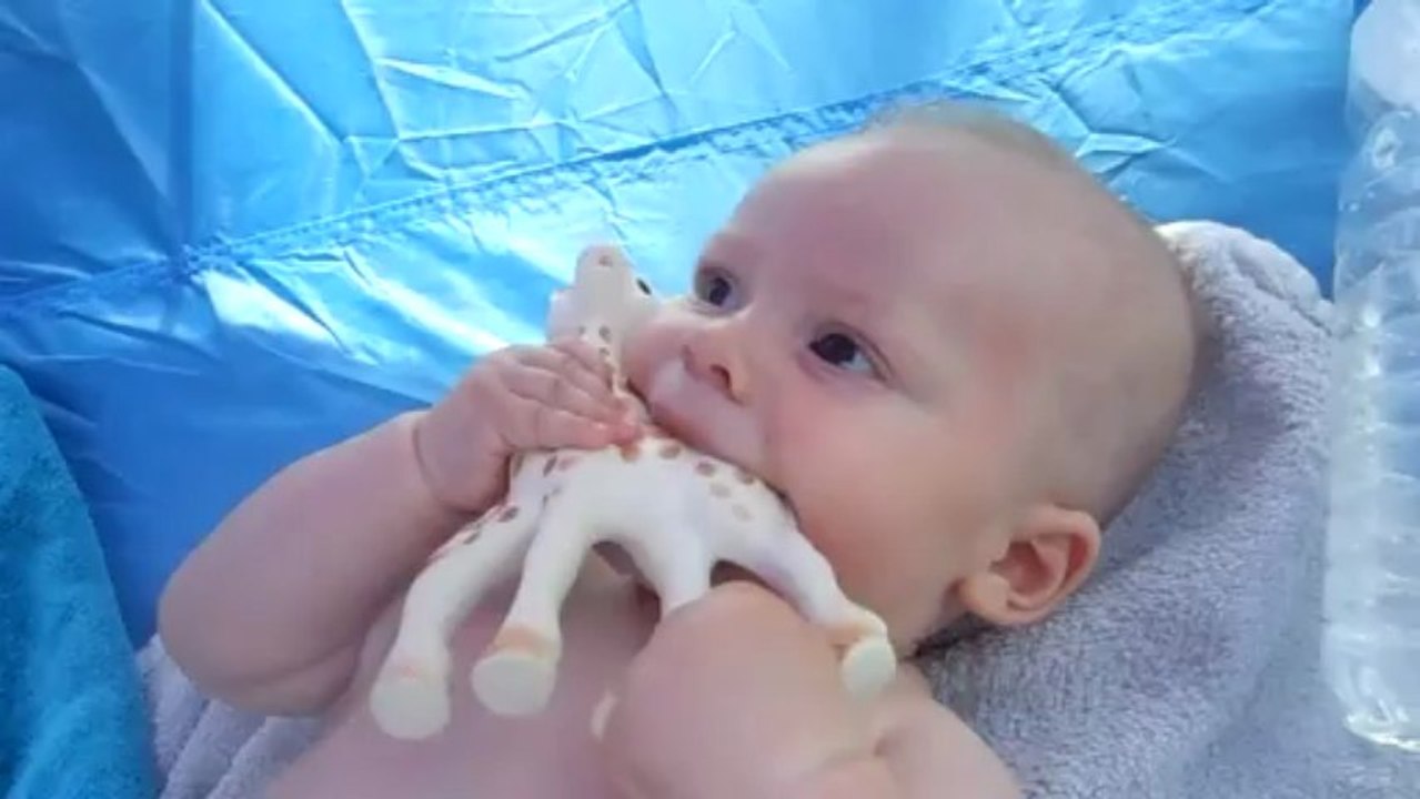 harmonica avec sophie la giraffe
