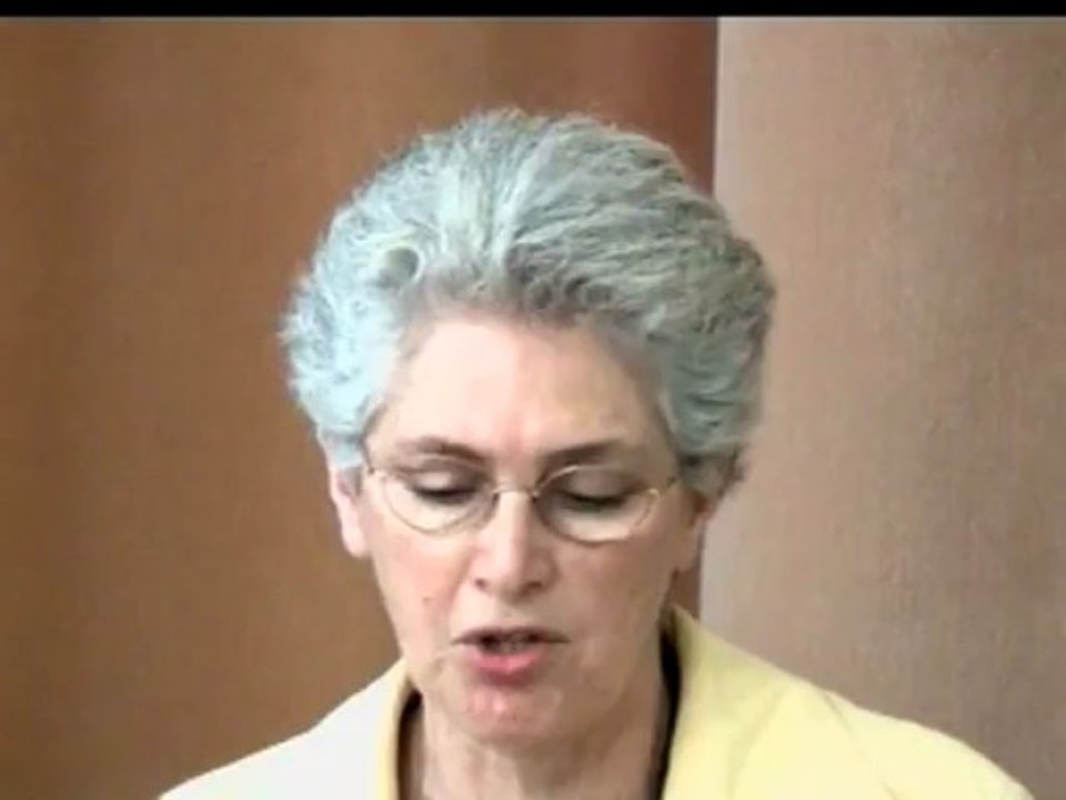 Histoire de l'islam en Martinique et en Guadeloupe (histoire et culture noir)