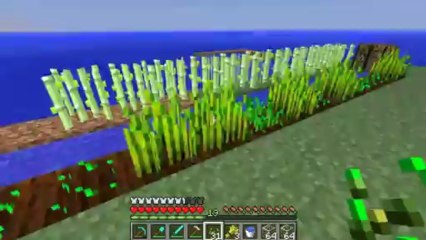Minecraft Ocean Survival #12 with Vikkstar123 & Steve Schwindt