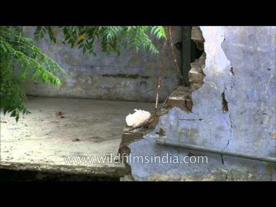 Remnants of a shattered village: Uttarakhand Floods