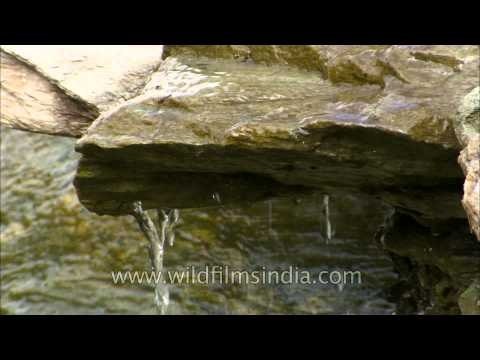 Wrath of the gods in Silli village: Uttarakhand Floods