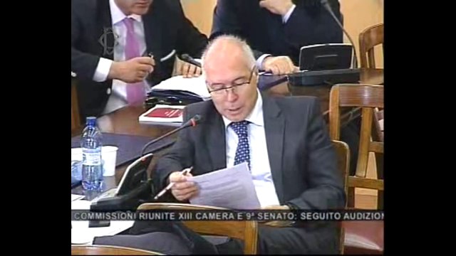 Roma - L'audizione del Ministro Nunzia De Girolamo (18.07.13)