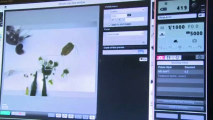 Dans le laboratoire sec, Joannie Ferland observe au microscope la "pêche du jour" : un tintinide (une sorte de protiste), une méduse, et un nauplii (stade larvaire du protiste) © France Télévisions