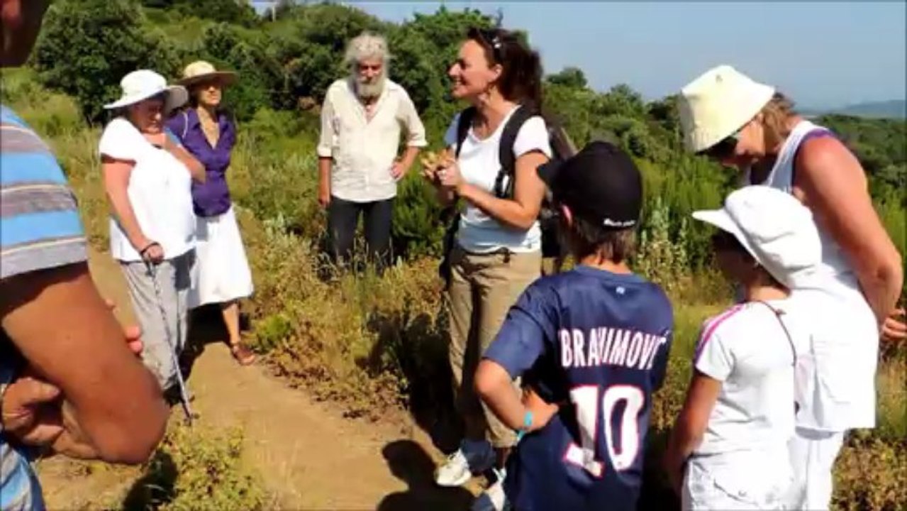 Balade contée - Lutins des mers