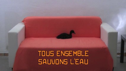 Délit de fuite - des hommes pour l'eau