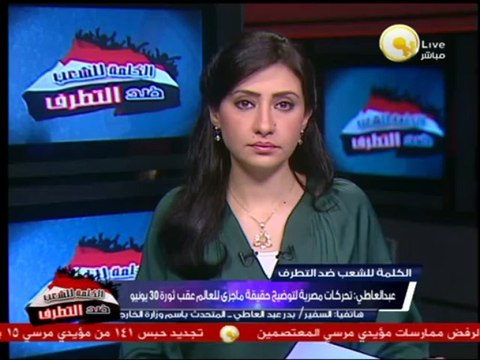المتحدث بإسم وزارة الخارجية: تحركات مصرية لتوضيح حقيقة ما جرى للعالم عقب ثورة 30 يونيو