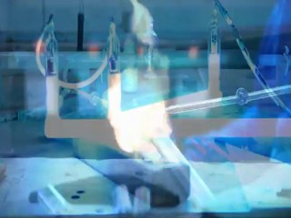 Delightfull | Unique Lamps - Graphic Collection Production