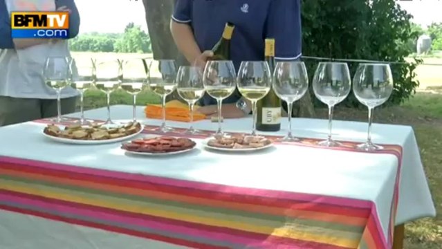 Une semaine en Aquitaine: initiation à la préparation traditionnelle du foie gras - 19/07