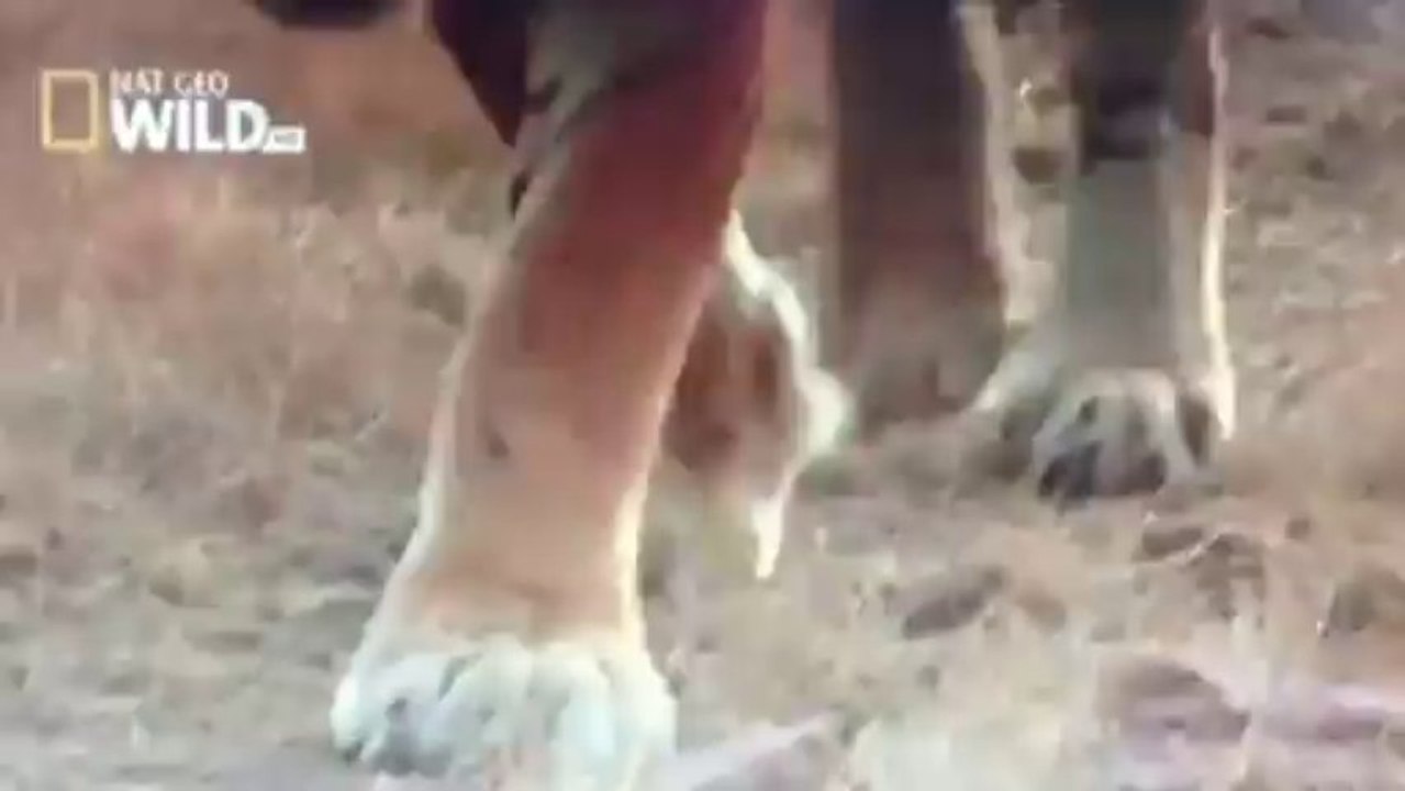 Jul19video6
