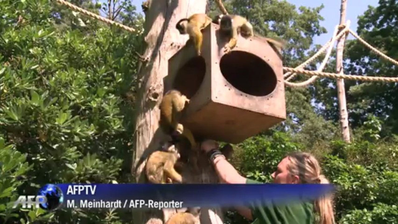 Sommerhitze: flirten, eis und gute laune