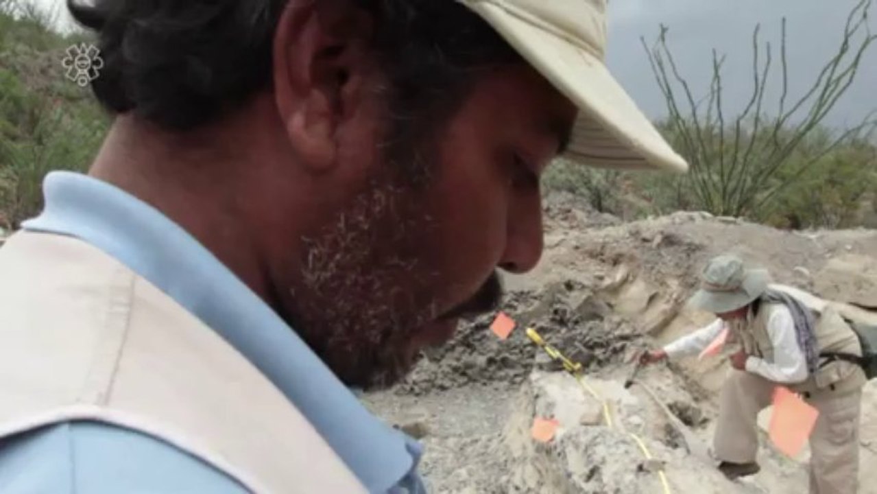 Spektakulärer Dino-Fund in Mexiko