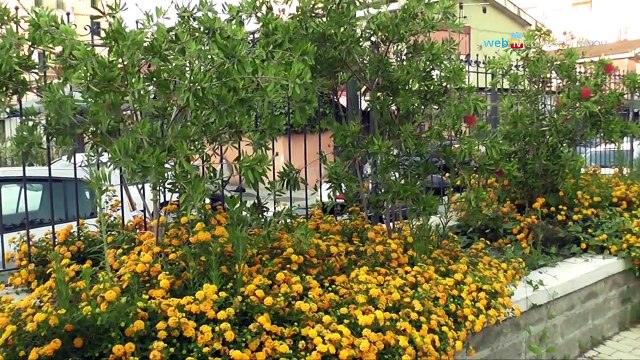 Napoli - In giro per le aree verdi affidate alla città (23.07.13)