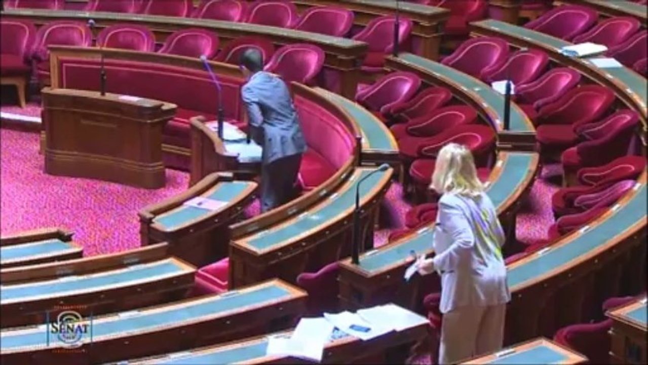 Francophonie : " La littérature française récente ne peut pas, pour l’essentiel, être achetée en ligne par des consommateurs situés à l’étranger..."