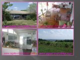VENTE MAISON GIROLLE STE CROIX DU MONT 33410 GIRONDE