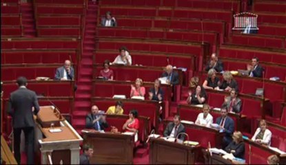 Intervention Carlos Da Silva - DG PL affirmation des métropoles - 17 juillet 2013