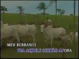 DVDokê, Karaokê - Sucessos Sertanejos - Vol 2   83 músicas