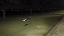Incredible Demonstration Of R/C Helicopter Flying