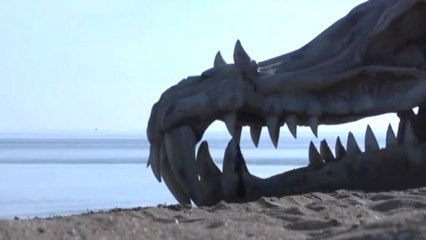 The blinkbox Dragon Skull Basking On A British Beach
