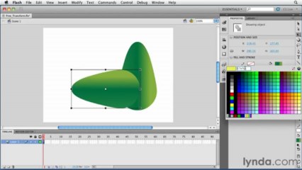 adobe flash Using the Free Transform tool