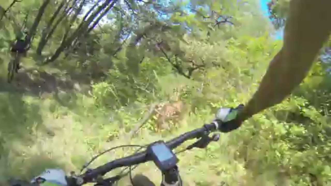 le Team des bras cassé!!!!