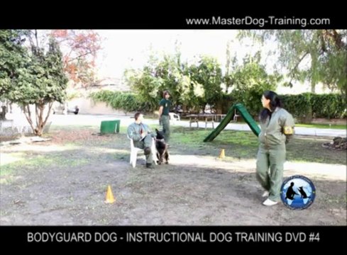 Bodyguard Dog Training - Instructional Dog Training DVD #4