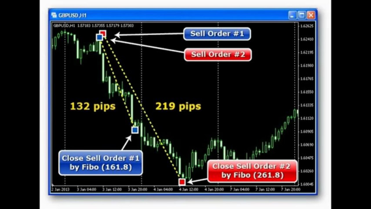 FOREX 1000 pips Robot