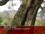 Monte San Biagio - Sughereta, la denuncia di Legambiente