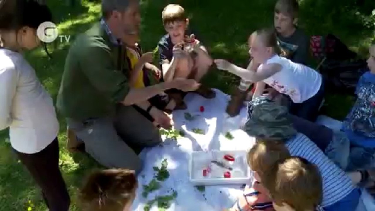 Wild Time Challenge