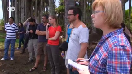 World Stories: International Reporters | World Stories