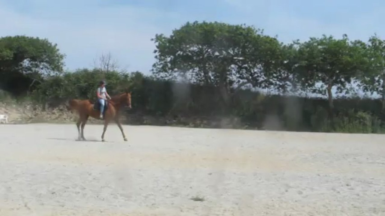 Galoute et Poupou _ 19 07 13