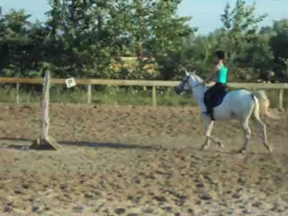 Séance de mise en selle 19/07/2013