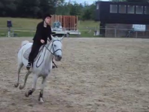 Cours de saut d'obstacle 21/06/2013