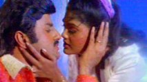 Nari Nari Naduma murari Movie Songs - Em Vaano - Bala Krishna Nirosha