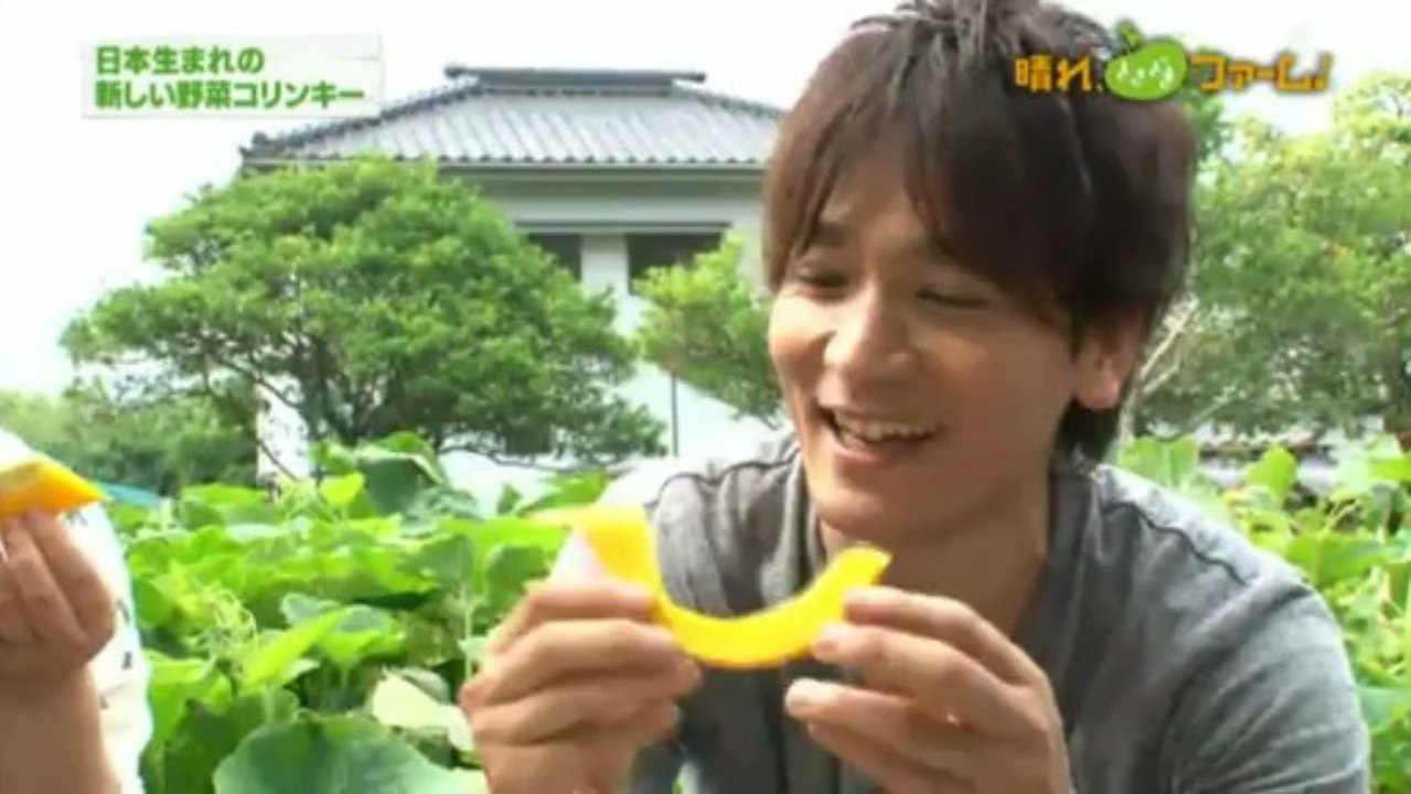 晴れ、ときどきファーム-2013.07.19