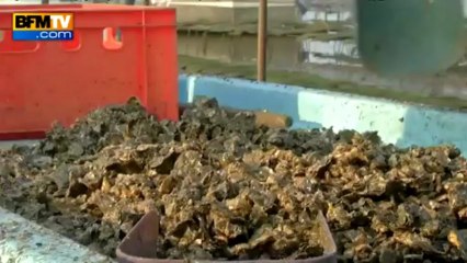 Découverte: le pescatourisme dans le bassin d'Arcachon - 20/07