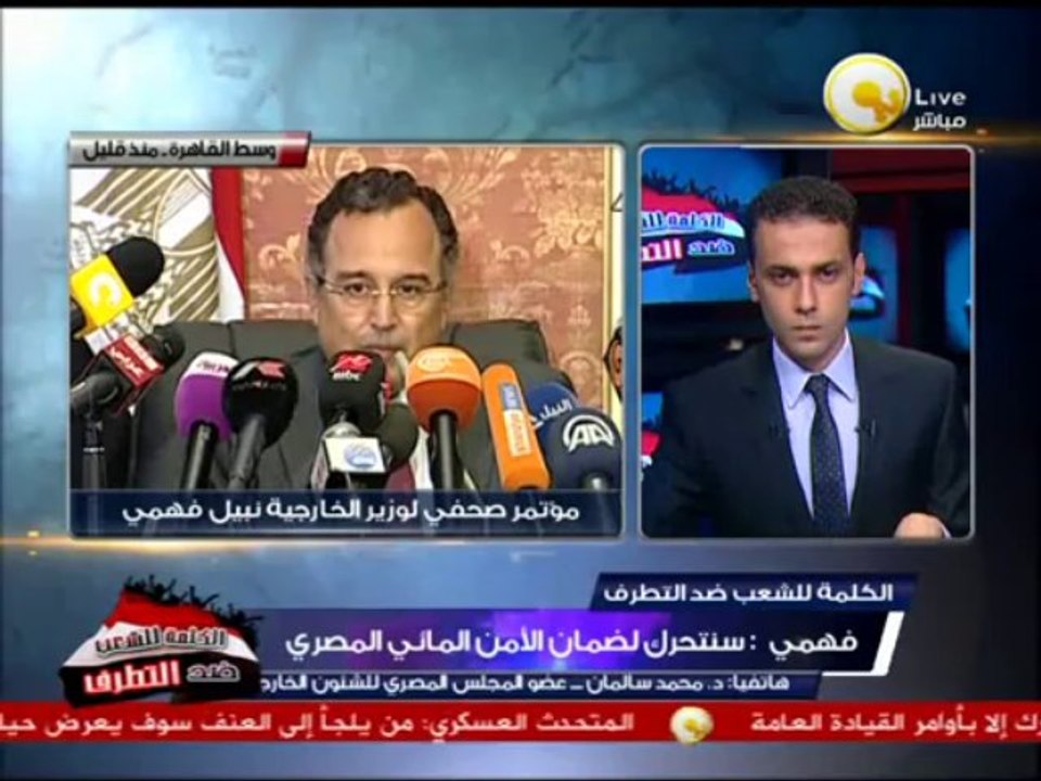 د. محمد سالمان: السياسة الخارجية المصرية أمامها العديد من التحديات
