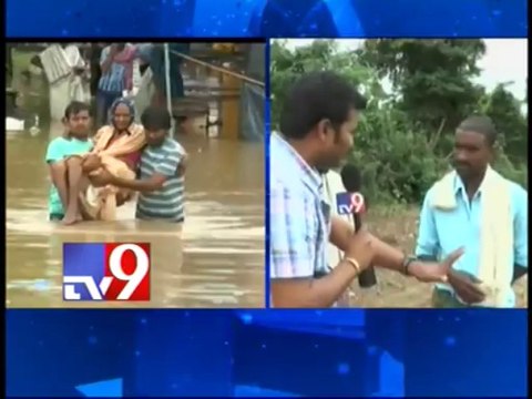 Overflowing Godavari destroys cotton crops