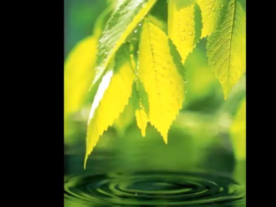 o bruit doux de la pluie