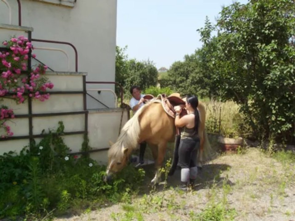 vacances à épinac bourgogne