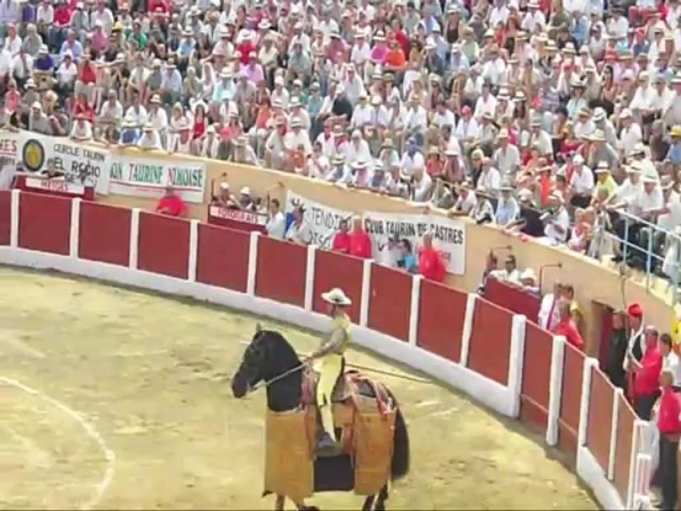 ceret palha 2013