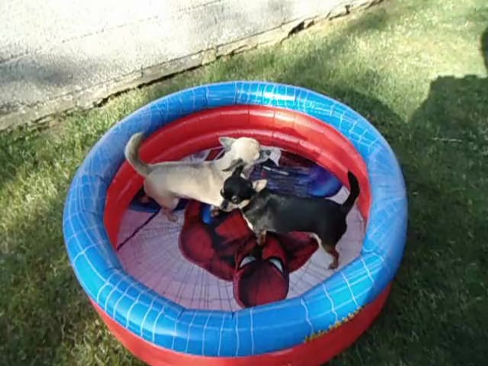 a la piscine