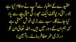 Misbah ul Haq Pakistan Cricket team Captain's tribute to Shaykh-ul-Islam Dr.Tahir-ul-Qadri