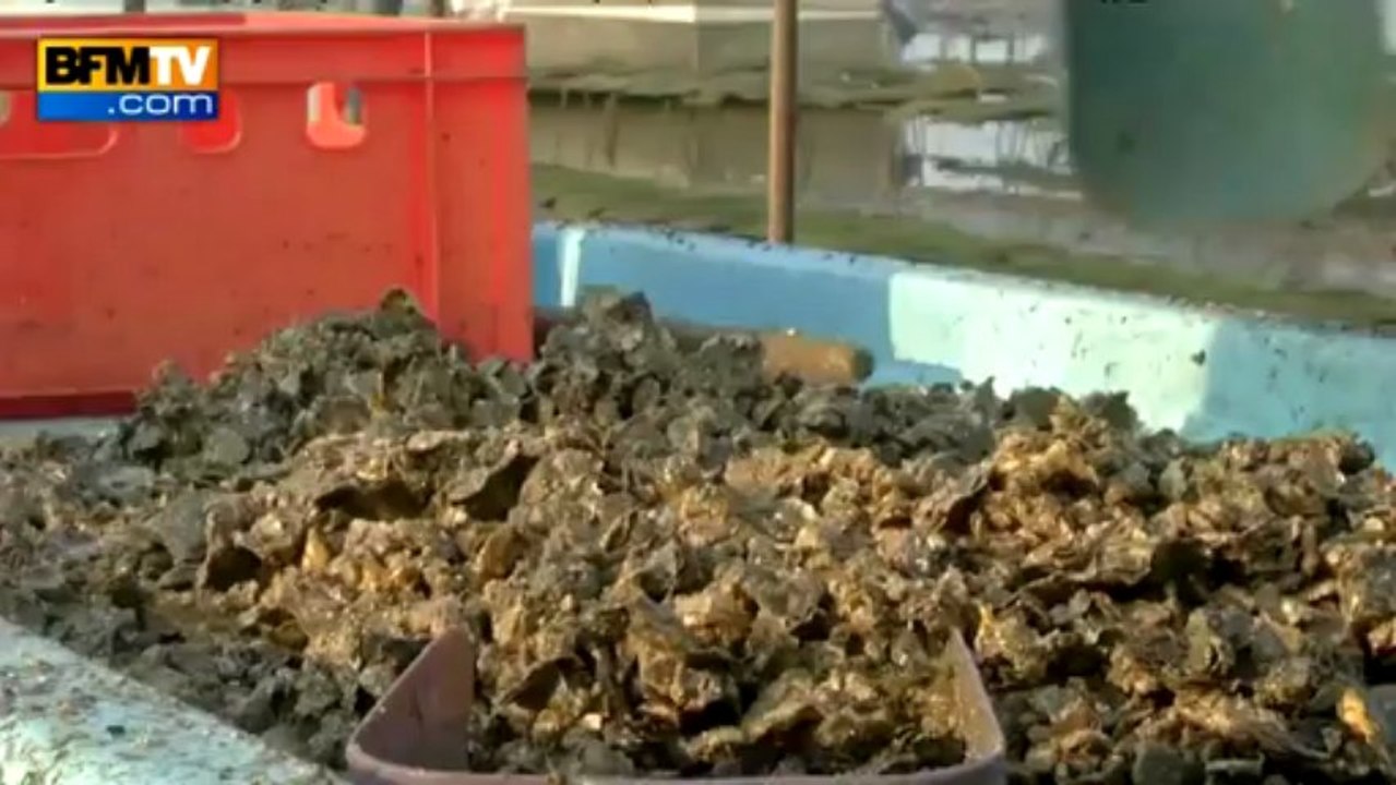 Découverte: le pescatourisme