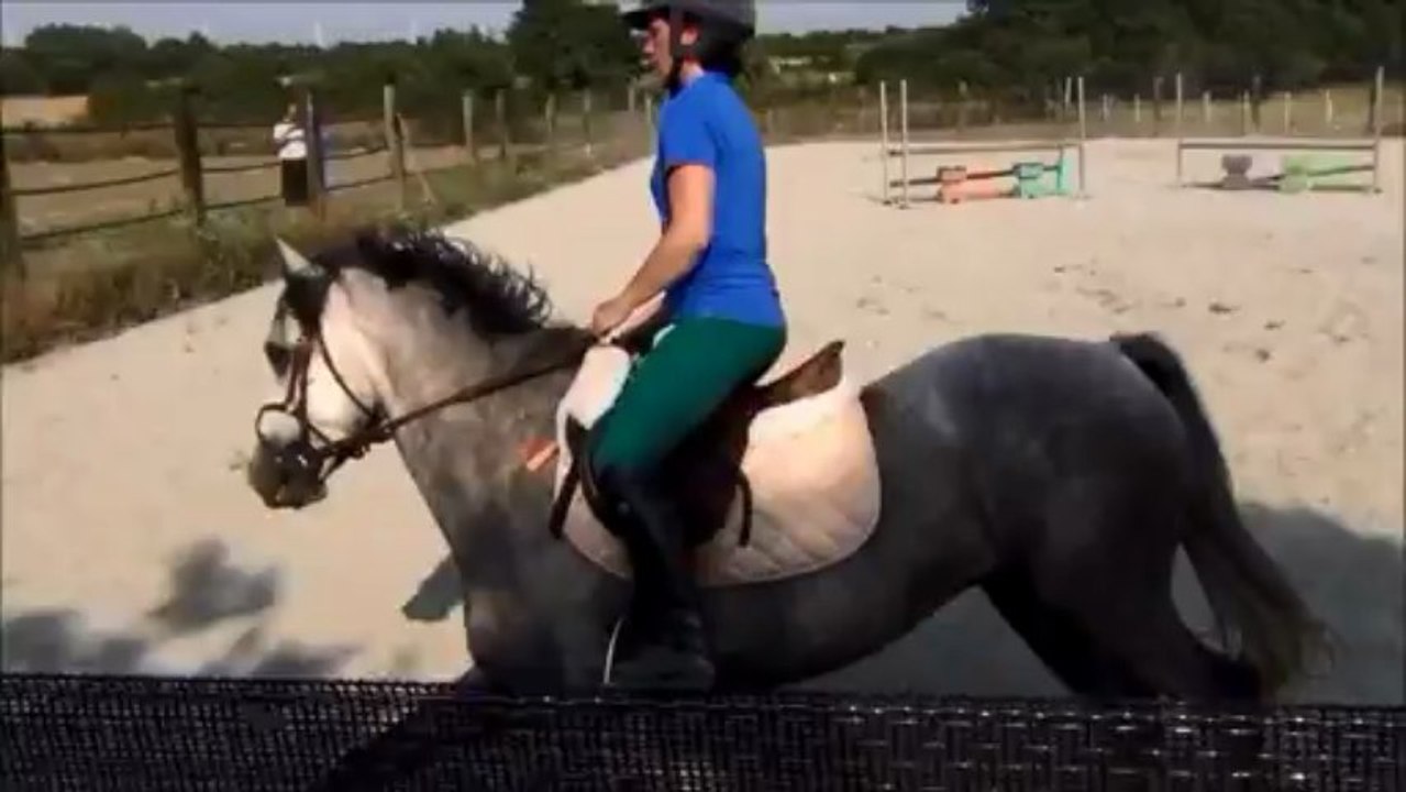 Vermillon de la Barre - juillet 2013