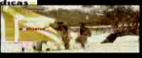 Hai Hai Jawani - New Song 🎶