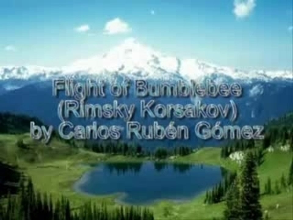 Flight of the Bumblebee à la guitare