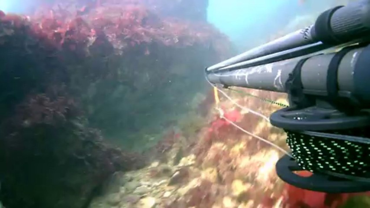 chasse sous marine sur épave